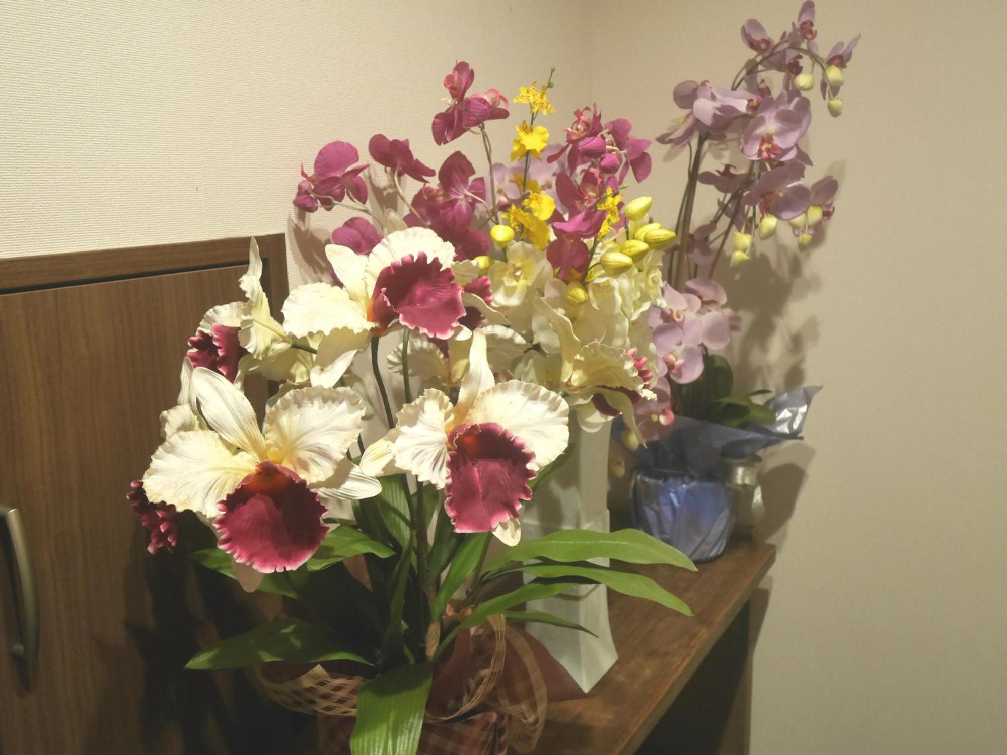Guesthouse Grande今宮駅前 Oszaka Kültér fotó